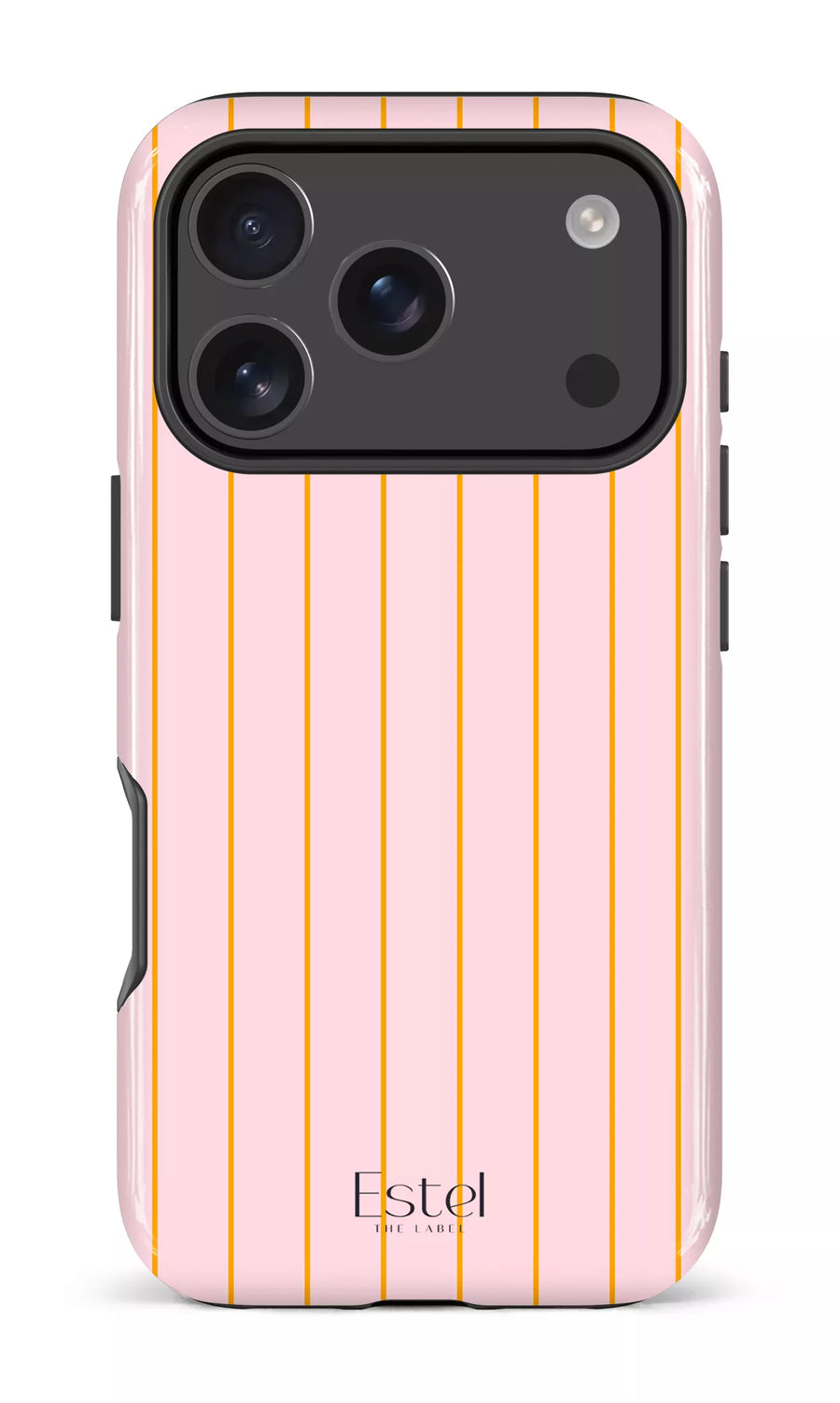 Amalfi Case