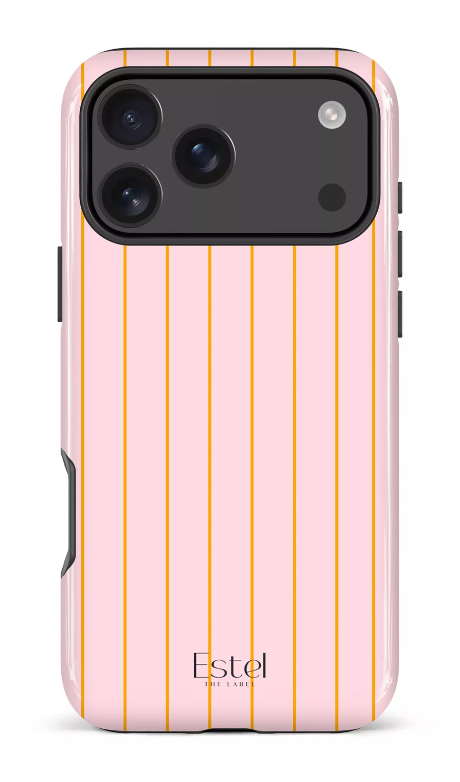 Amalfi Case
